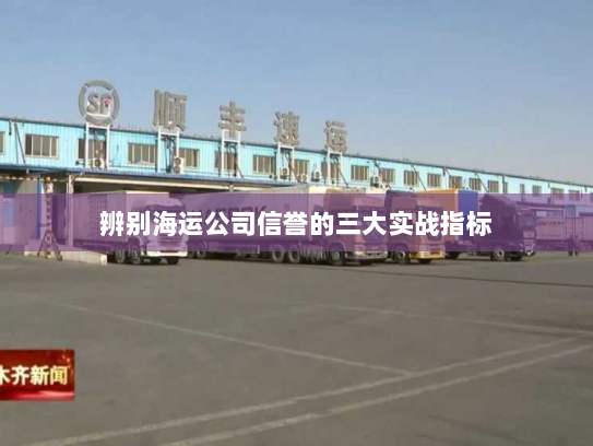 辨别海运公司信誉的三大实战指标