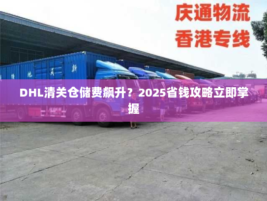 DHL清关仓储费飙升？2025省钱攻略立即掌握