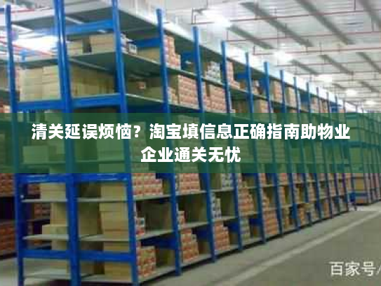 清关延误烦恼？淘宝填信息正确指南助物业企业通关无忧