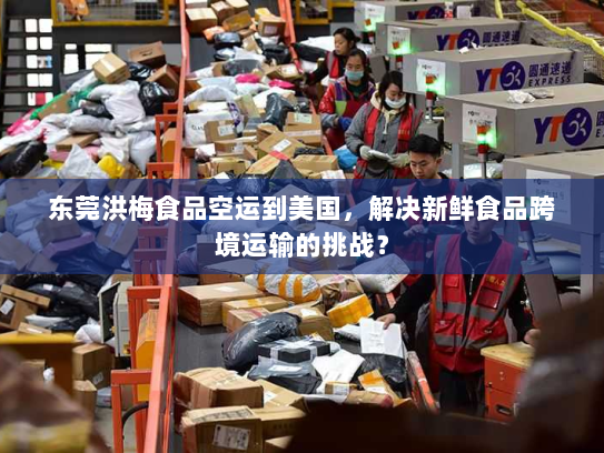 东莞洪梅食品空运到美国,解决新鲜食品跨境运输的挑战? 东莞洪梅食品空运到美国,解决新鲜食品跨境运输的挑战?