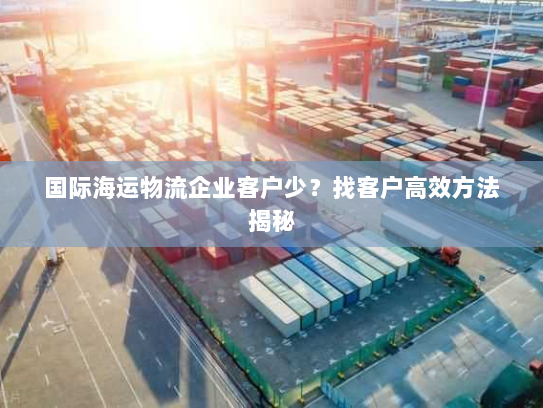 国际海运物流企业客户少？找客户高效方法揭秘