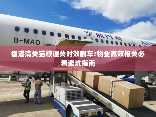 香港清关猫粮通关时效翻车?物业高效报关必看避坑指南