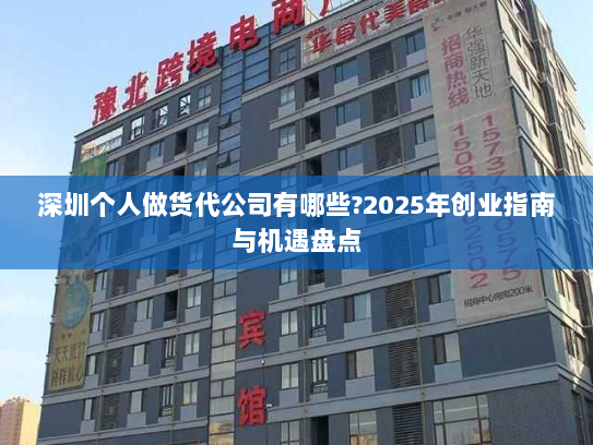 深圳个人做货代公司有哪些?2025年创业指南与机遇盘点