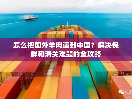怎么把国外羊肉运到中国？解决保鲜和清关难题的全攻略