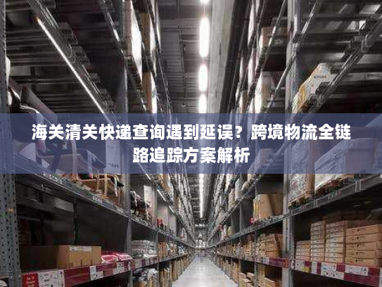 海关清关快递查询遇到延误?跨境物流全链路追踪方案解析 海关清关快递查询遇到延误?跨境物流全链路追踪方案解析