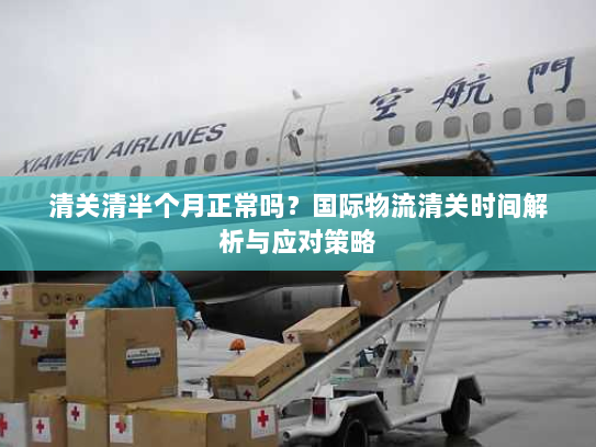 清关清半个月正常吗?国际物流清关时间解析与应对策略 清关清半个月正常吗?国际物流清关时间解析与应对策略