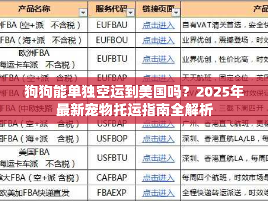 狗狗能单独空运到美国吗？2025年最新宠物托运指南全解析