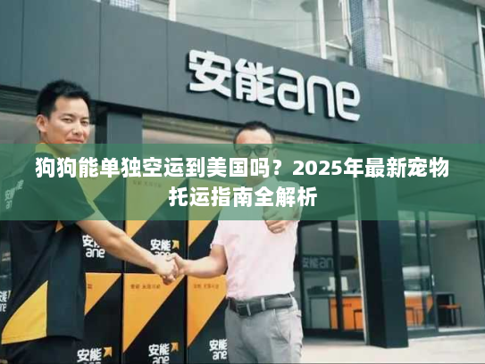 狗狗能单独空运到美国吗?2025年最新宠物托运指南全解析 狗狗能单独空运到美国吗?2025年最新宠物托运指南全解析