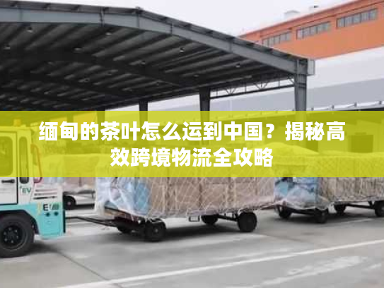 缅甸的茶叶怎么运到中国?揭秘高效跨境物流全攻略 缅甸的茶叶怎么运到中国?揭秘高效跨境物流全攻略