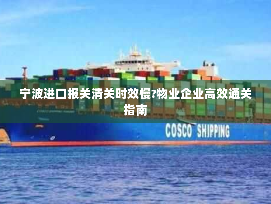 宁波进口报关清关时效慢?物业企业高效通关指南 宁波进口报关清关时效慢?物业企业高效通关指南