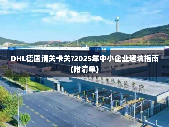DHL德国清关卡关?2025年中小企业避坑指南(附清单) DHL德国清关卡关?2025年中小企业避坑指南(附清单)