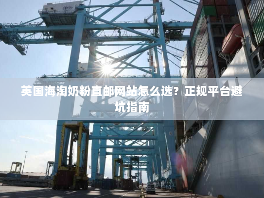 英国海淘奶粉直邮网站怎么选？正规平台避坑指南