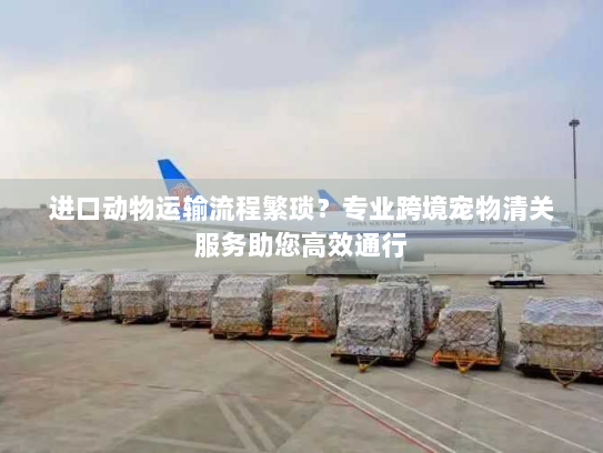 进口动物运输流程繁琐?专业跨境宠物清关服务助您高效通行 进口动物运输流程繁琐?专业跨境宠物清关服务助您高效通行
