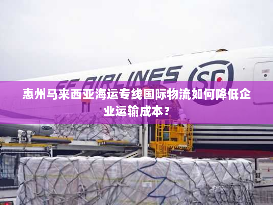 惠州马来西亚海运专线国际物流如何降低企业运输成本? 惠州马来西亚海运专线国际物流如何降低企业运输成本?