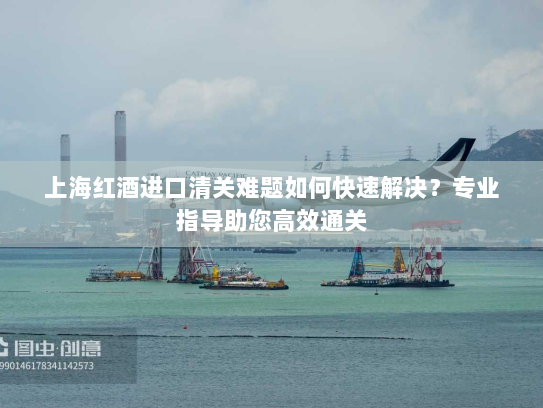 上海红酒进口清关难题如何快速解决？专业指导助您高效通关