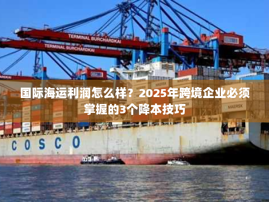 国际海运利润怎么样?2025年跨境企业必须掌握的3个降本技巧 国际海运利润怎么样?2025年跨境企业必须掌握的3个降本技巧