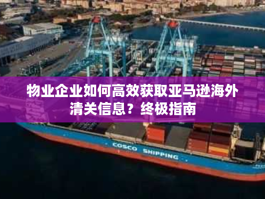 物业企业如何高效获取亚马逊海外清关信息？终极指南