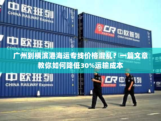 广州到横滨港海运专线价格混乱?一篇文章教你如何降低30%运输成本 广州到横滨港海运专线价格混乱?一篇文章教你如何降低30%运输成本