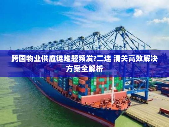 跨国物业供应链难题频发?二连 清关高效解决方案全解析