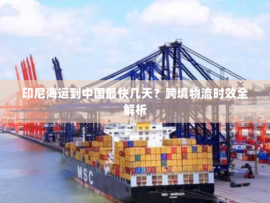 印尼海运到中国最快几天？跨境物流时效全解析
