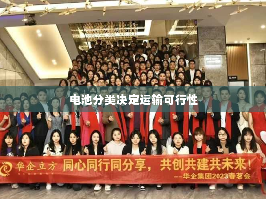 电池分类决定运输可行性