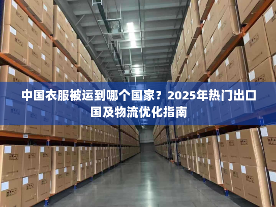 中国衣服被运到哪个国家?2025年热门出口国及物流优化指南 中国衣服被运到哪个国家?2025年热门出口国及物流优化指南