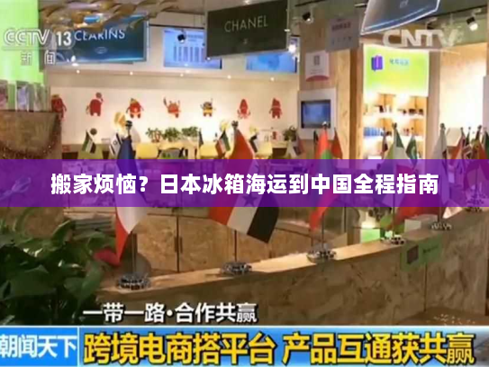 搬家烦恼？日本冰箱海运到中国全程指南