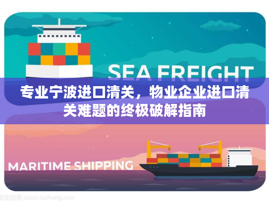 专业宁波进口清关，物业企业进口清关难题的终极破解指南