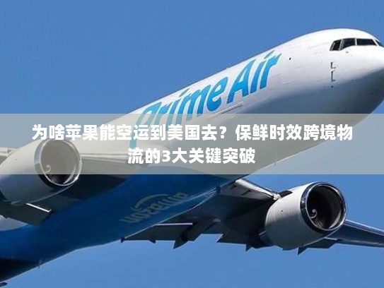 为啥苹果能空运到美国去?保鲜时效跨境物流的3大关键突破 为啥苹果能空运到美国去?保鲜时效跨境物流的3大关键突破