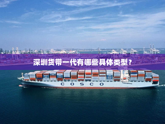 深圳货带一代有哪些具体类型? 深圳货带一代有哪些具体类型?