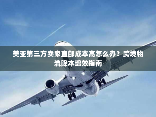 美亚第三方卖家直邮成本高怎么办？跨境物流降本增效指南