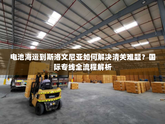 电池海运到斯洛文尼亚如何解决清关难题?国际专线全流程解析 电池海运到斯洛文尼亚如何解决清关难题?国际专线全流程解析