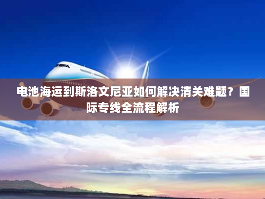 电池海运到斯洛文尼亚如何解决清关难题?国际专线全流程解析 电池海运到斯洛文尼亚如何解决清关难题?国际专线全流程解析