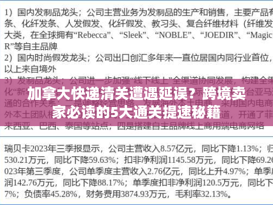 加拿大快递清关遭遇延误？跨境卖家必读的5大通关提速秘籍