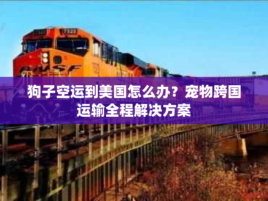 狗子空运到美国怎么办？宠物跨国运输全程解决方案