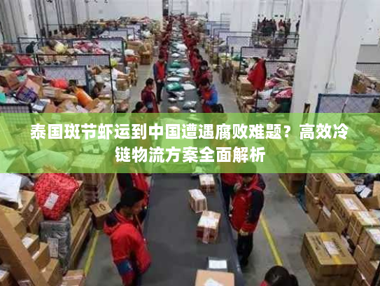 泰国斑节虾运到中国遭遇腐败难题?高效冷链物流方案全面解析 泰国斑节虾运到中国遭遇腐败难题?高效冷链物流方案全面解析