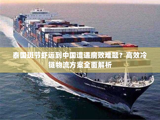 泰国斑节虾运到中国遭遇腐败难题?高效冷链物流方案全面解析 泰国斑节虾运到中国遭遇腐败难题?高效冷链物流方案全面解析