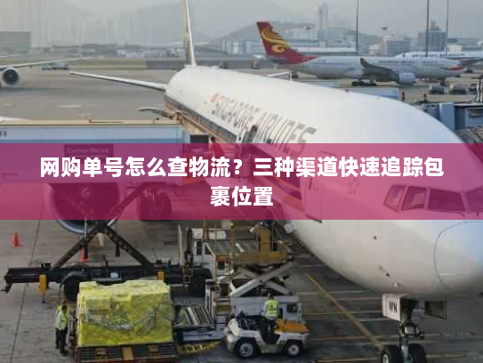 网购单号怎么查物流?三种渠道快速追踪包裹位置 网购单号怎么查物流?三种渠道快速追踪包裹位置