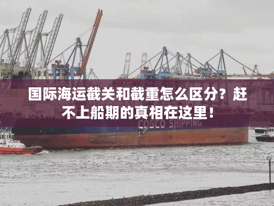 国际海运截关和截重怎么区分？赶不上船期的真相在这里！