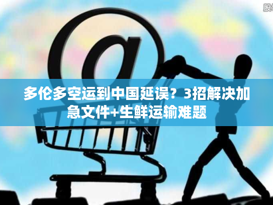 多伦多空运到中国延误？3招解决加急文件+生鲜运输难题