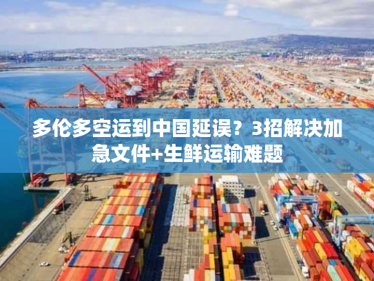 多伦多空运到中国延误？3招解决加急文件+生鲜运输难题