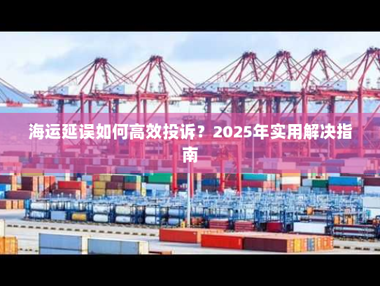 海运延误如何高效投诉?2025年实用解决指南 海运延误如何高效投诉?2025年实用解决指南