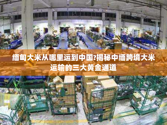 缅甸大米从哪里运到中国?揭秘中缅跨境大米运输的三大黄金通道 缅甸大米从哪里运到中国?揭秘中缅跨境大米运输的三大黄金通道