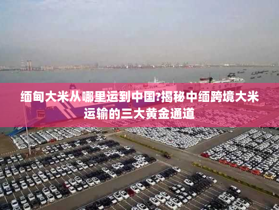 缅甸大米从哪里运到中国?揭秘中缅跨境大米运输的三大黄金通道 缅甸大米从哪里运到中国?揭秘中缅跨境大米运输的三大黄金通道