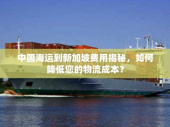 中国海运到新加坡费用揭秘，如何降低您的物流成本？