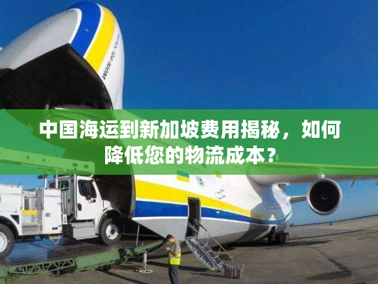 中国海运到新加坡费用揭秘，如何降低您的物流成本？