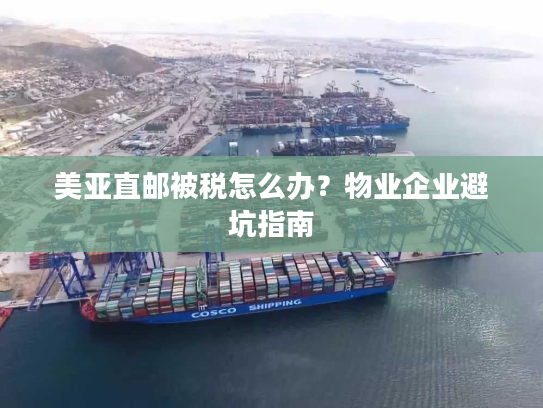 美亚直邮被税怎么办？物业企业避坑指南