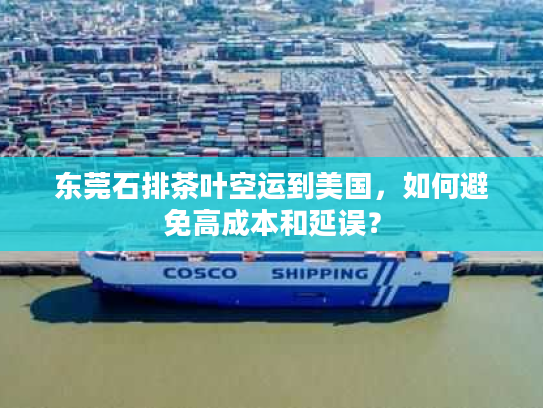 东莞石排茶叶空运到美国，如何避免高成本和延误？