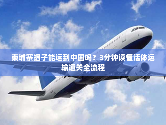 柬埔寨蝎子能运到中国吗?3分钟读懂活体运输通关全流程 柬埔寨蝎子能运到中国吗?3分钟读懂活体运输通关全流程