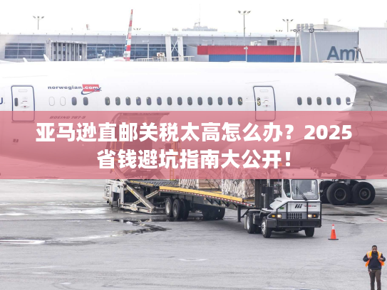 亚马逊直邮关税太高怎么办？2025省钱避坑指南大公开！